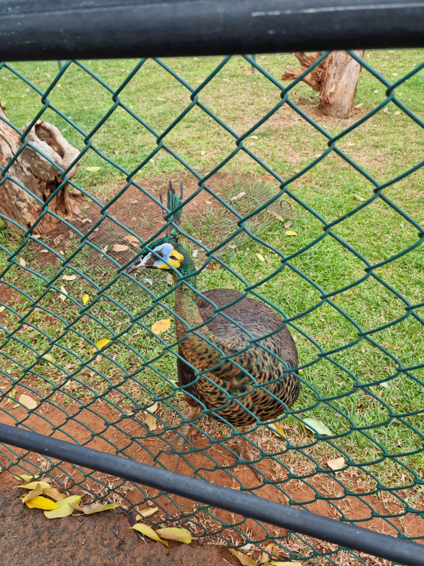 Birds Park Hambantota Omaya Tours