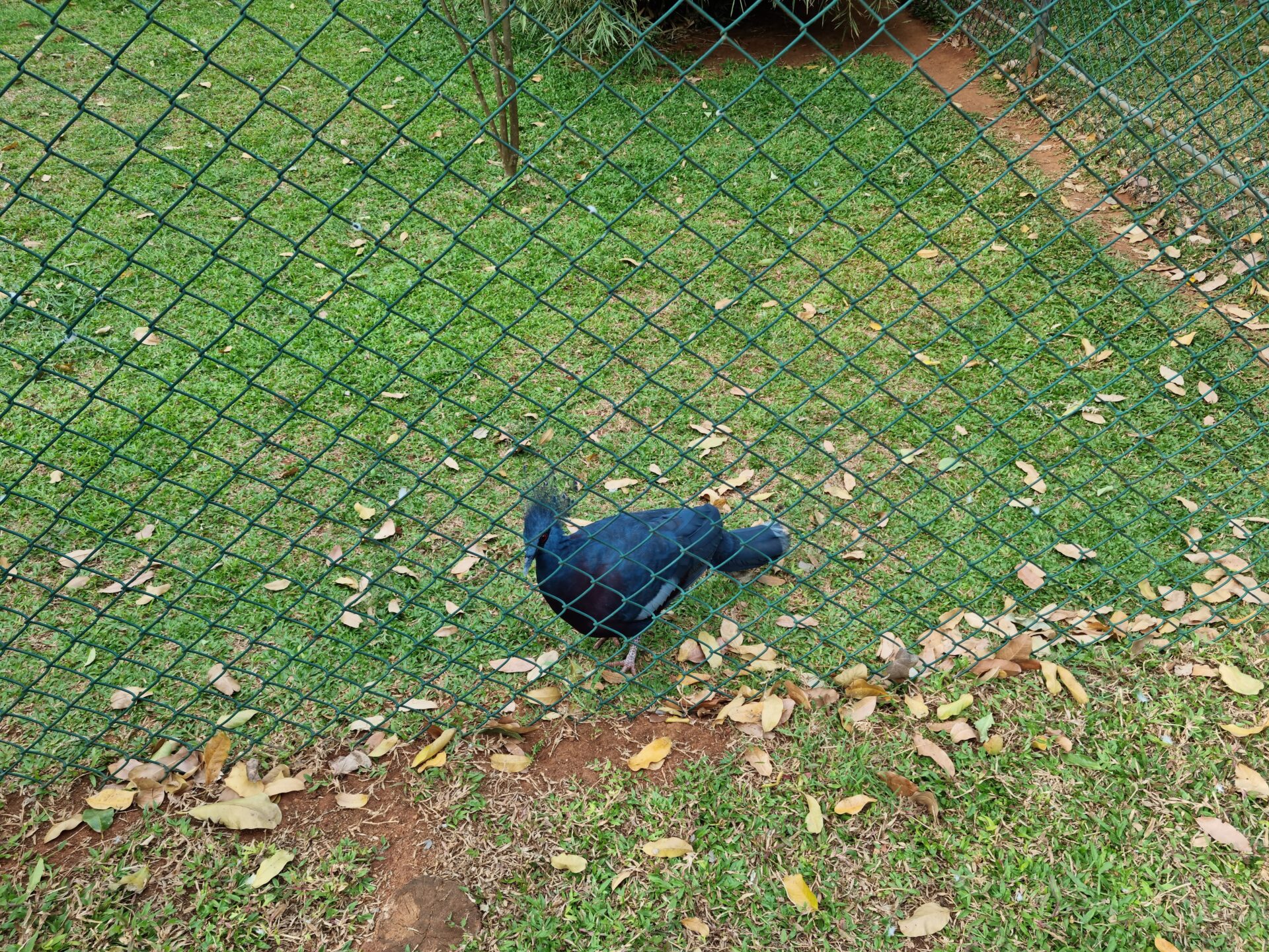 Birds Park Hambantota Omaya Tours