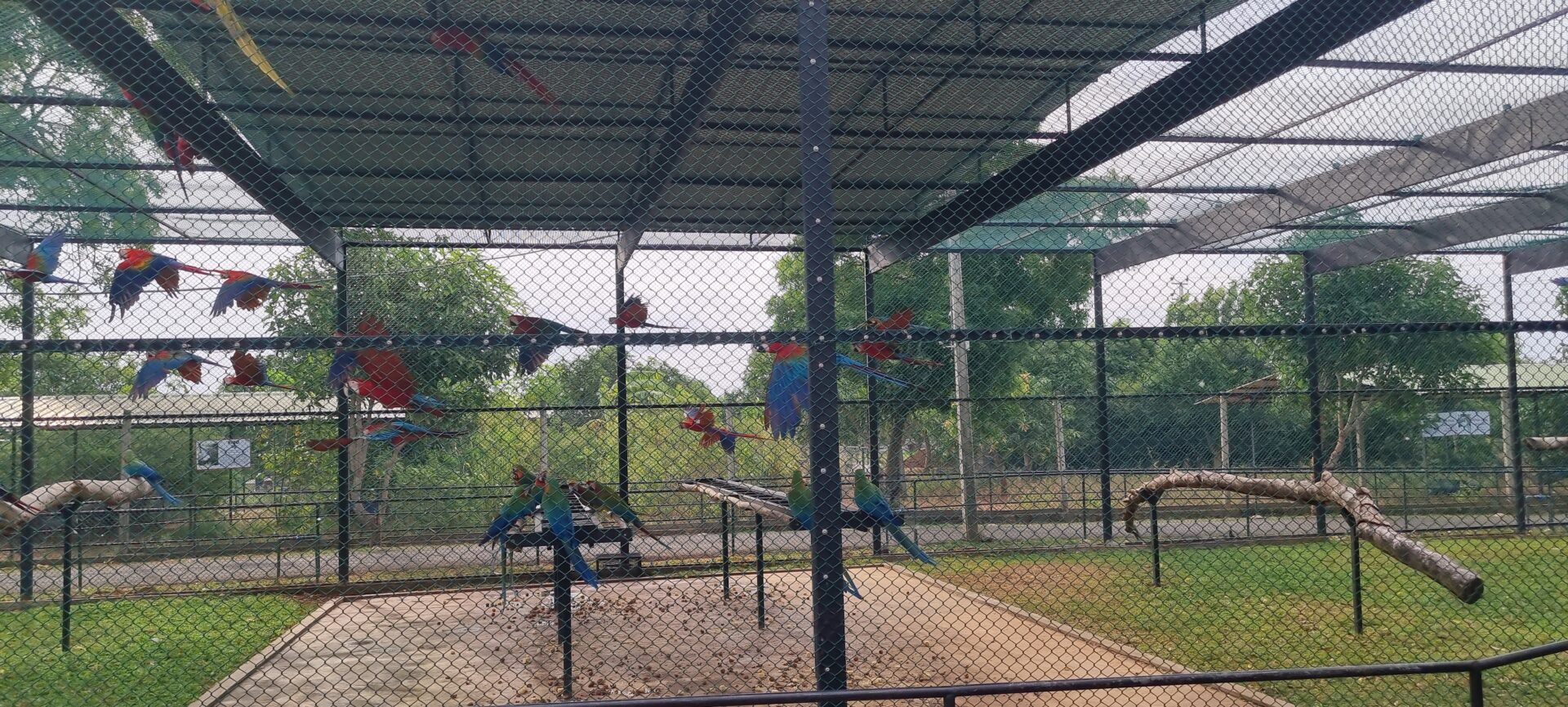 Birds Park Hambantota Omaya Tours