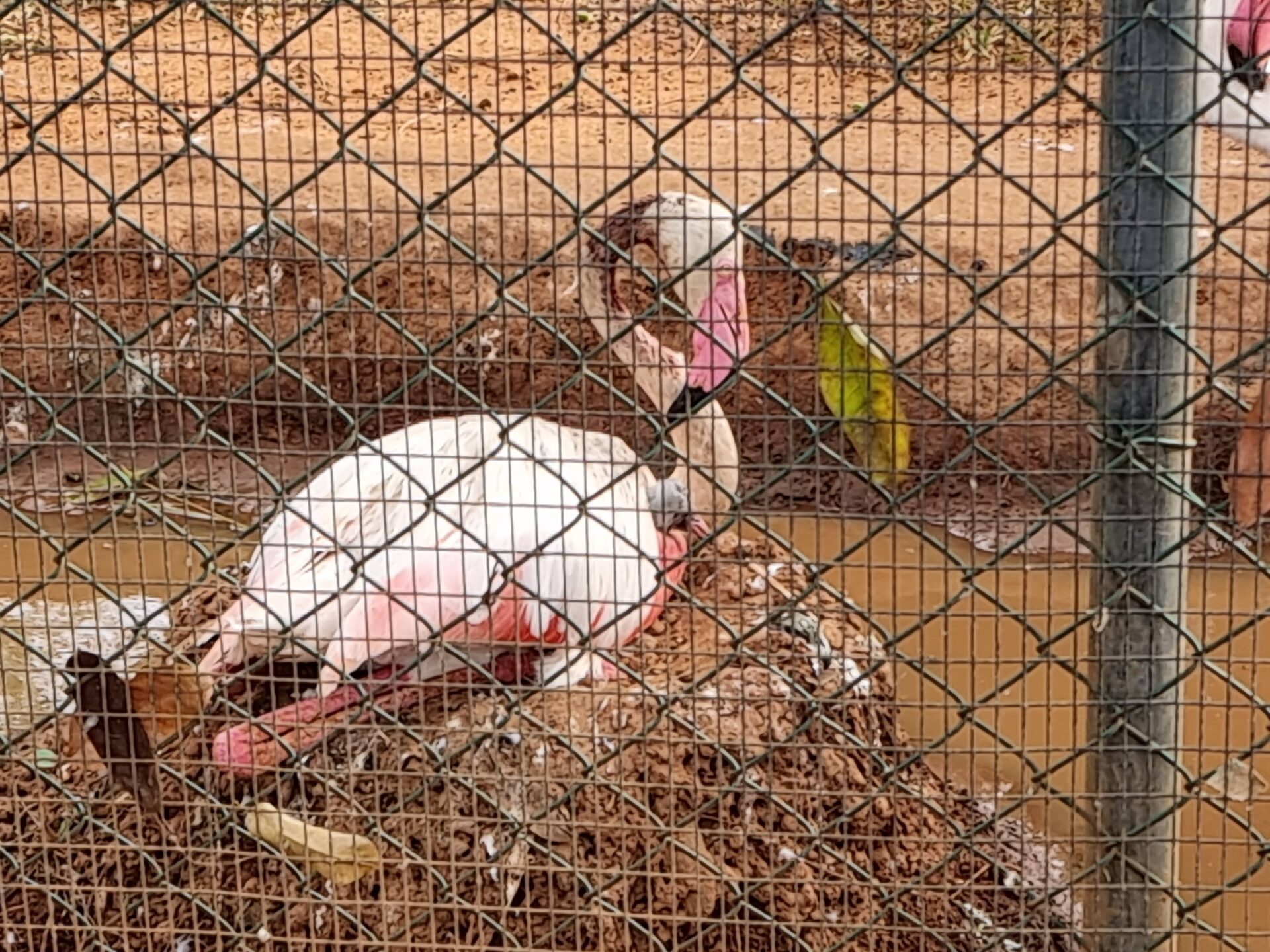 Birds Park Hambantota Omaya Tours